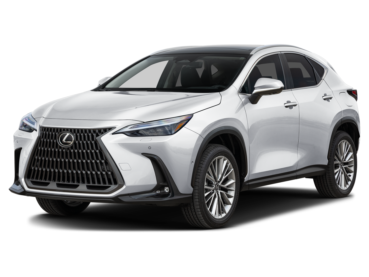 2026 Lexus NX 350h's photo