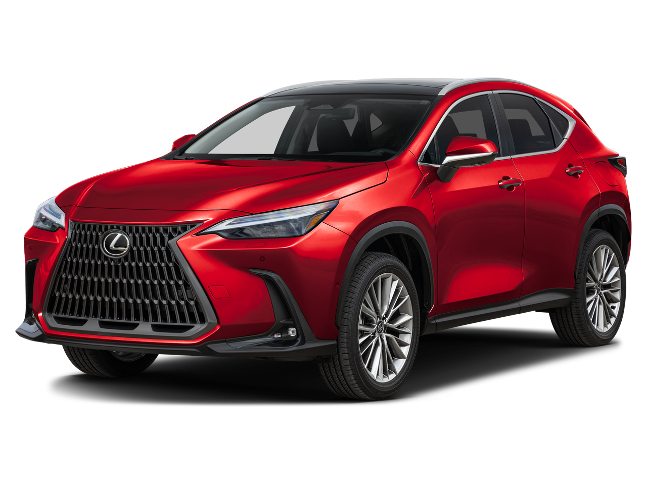 2026 Lexus NX 350h's photo
