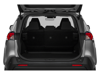 2019 Toyota RAV4 Hybrid Hybrid LE