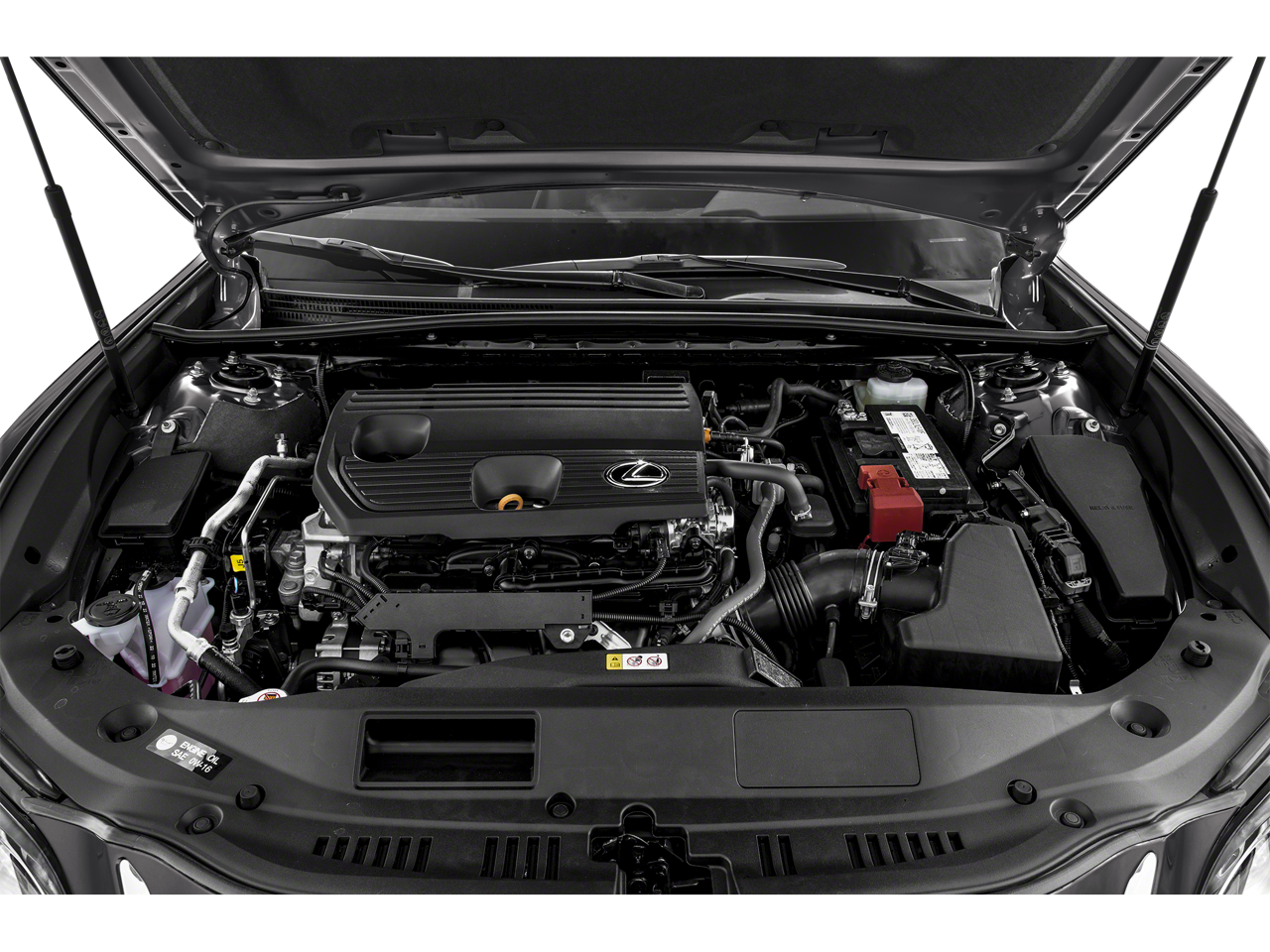 2024 Lexus ES 250 ES 250