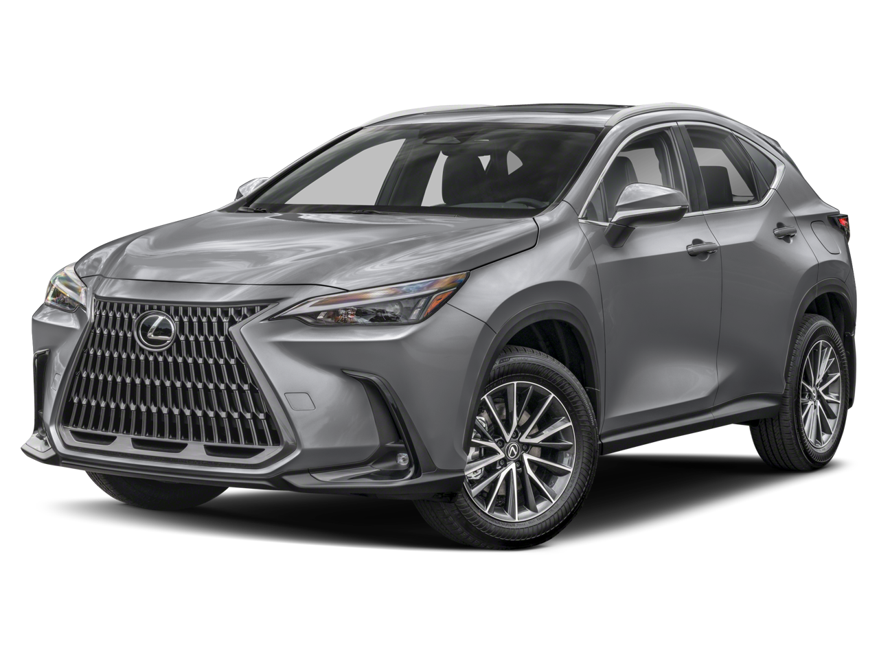 2025 Lexus NX