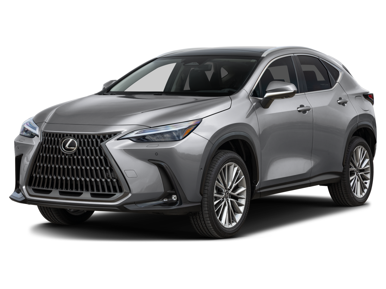 2026 Lexus NX 350h's photo