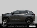 2026 Lexus NX NX 350