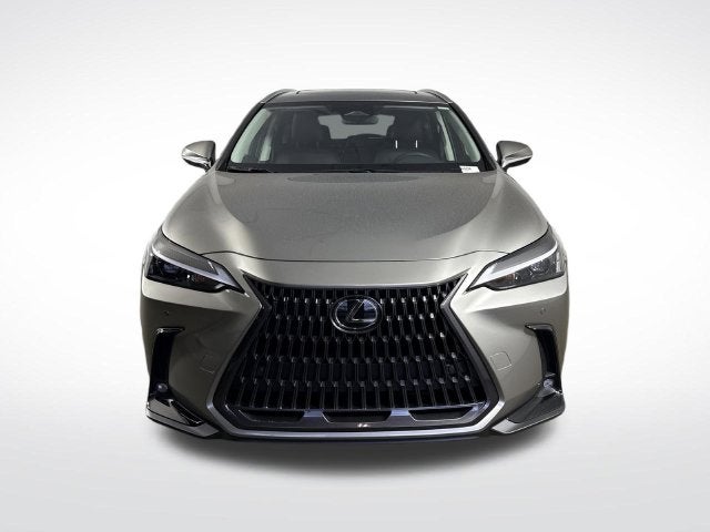 2026 Lexus NX NX 350