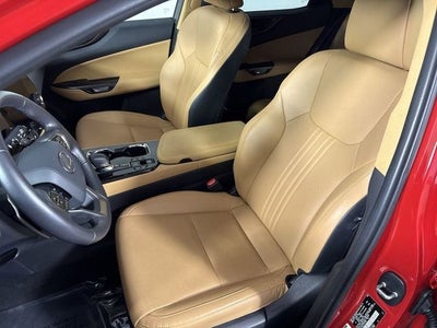 2025 Lexus NX 350 Base