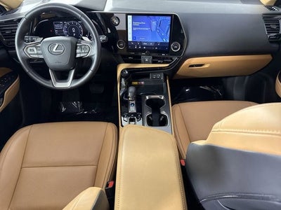 2025 Lexus NX 350 Base