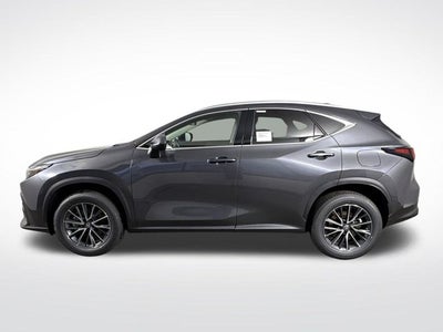 2026 Lexus NX NX 350