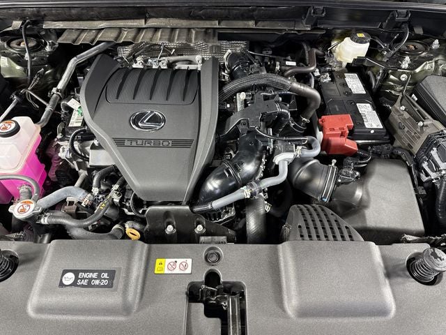 2025 Lexus NX 350 AWD