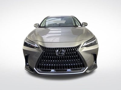 2026 Lexus NX NX 350