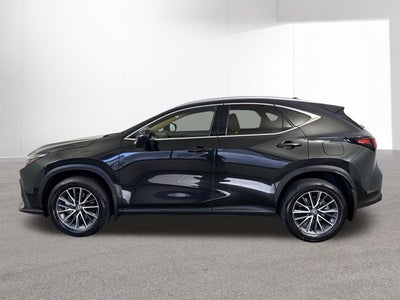 2025 Lexus NX 350 NX 350