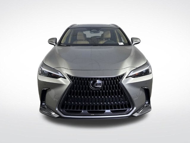 2026 Lexus NX NX 350