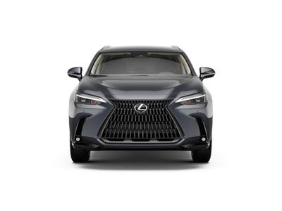 2026 Lexus NX NX 350