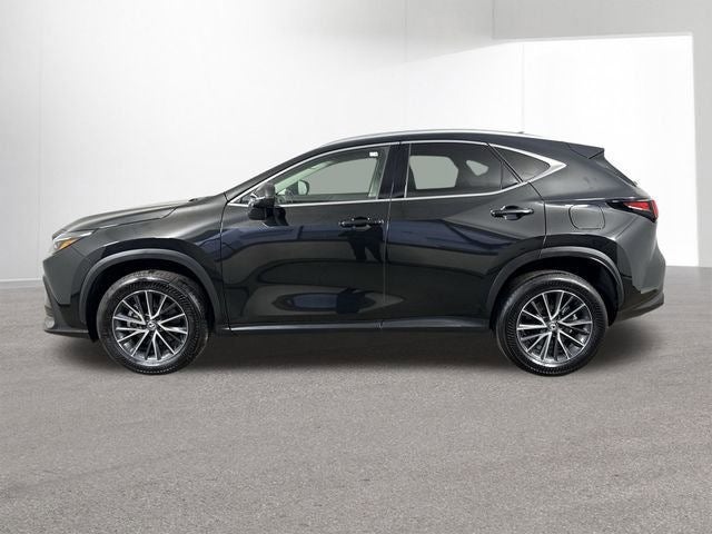 2024 Lexus NX AWD