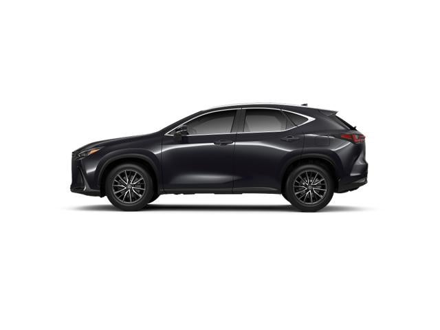 2024 Lexus NX AWD
