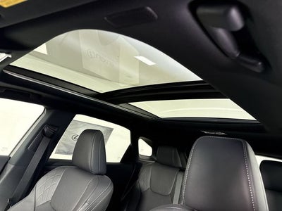 2025 Lexus RX PREMIUM PLUS