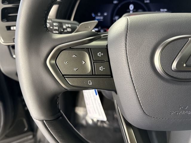 2025 Lexus RX PREMIUM PLUS