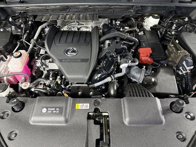 2024 Lexus NX 350 NX 350 Premium