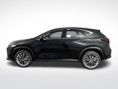 2026 Lexus NX NX 350 Premium