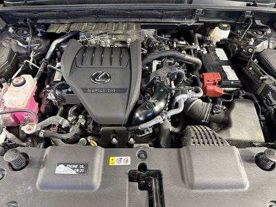 2025 Lexus NX 350 NX 350 Premium