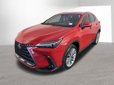 2025 Lexus NX 350 PREMIUM