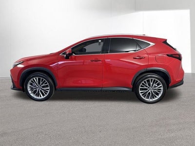2025 Lexus NX 350 PREMIUM