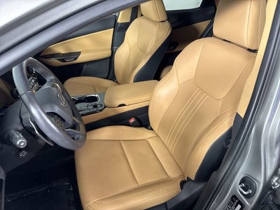 2024 Lexus NX 350 PREMIUM