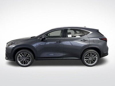 2026 Lexus NX NX 350 Premium