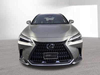 2024 Lexus NX 350h NX 350h Premium