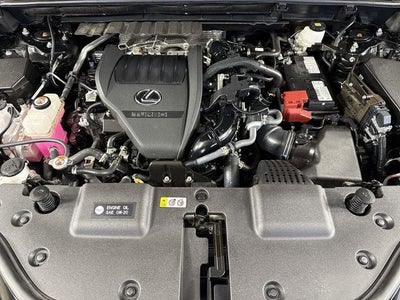 2024 Lexus NX 350 NX 350 Luxury