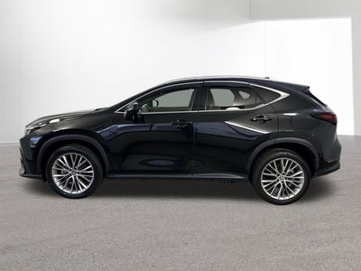 2024 Lexus NX 350 NX 350 Luxury