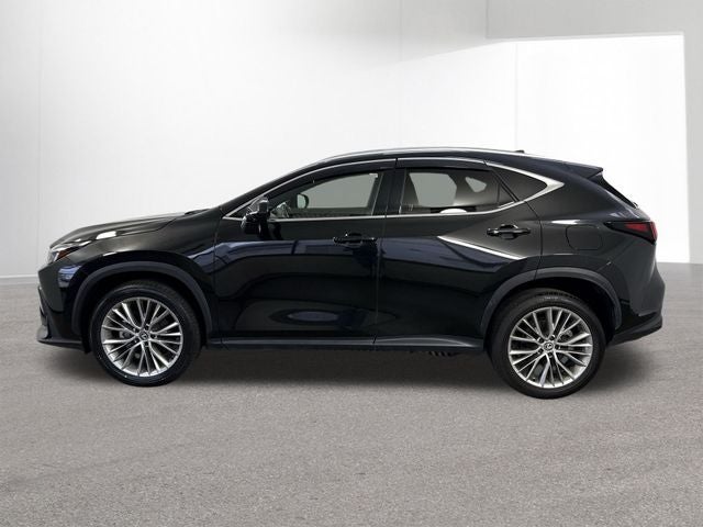 2024 Lexus NX 350 NX 350 Luxury