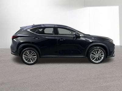 2024 Lexus NX 350 NX 350 Luxury