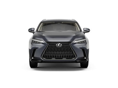 2026 Lexus NX NX 350h Luxury