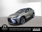 2026 Lexus NX 350h LUXURY AWD