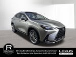 2026 Lexus NX 350h Luxury