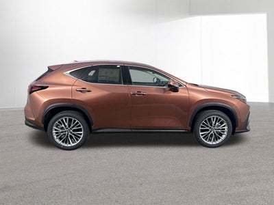 2026 Lexus NX LUXURY AWD