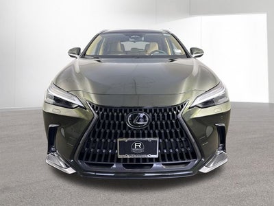 2025 Lexus NX 350h LUXURY AWD