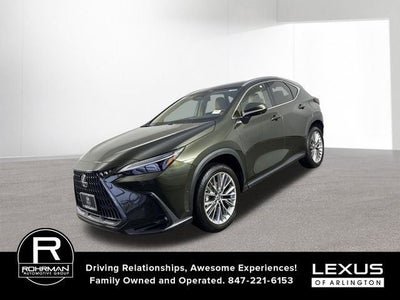2025 Lexus NX 350h LUXURY AWD