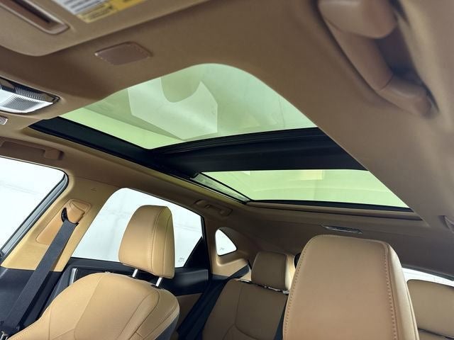 2025 Lexus NX 350h LUXURY AWD