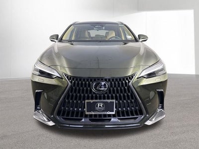 2025 Lexus NX 350h LUXURY AWD
