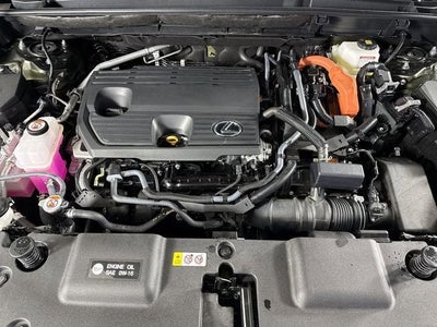 2025 Lexus NX 350h LUXURY AWD