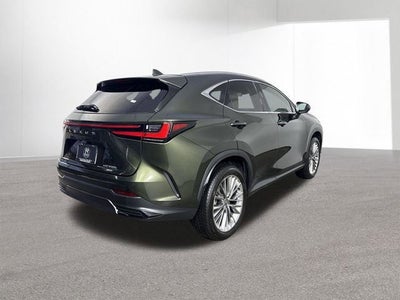 2025 Lexus NX 350h LUXURY AWD