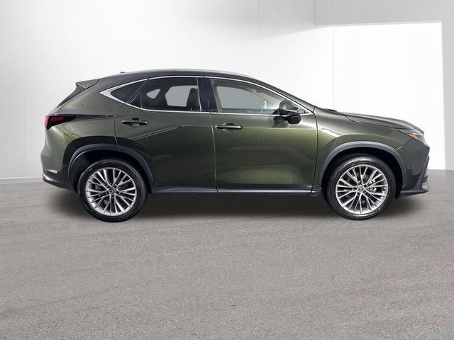 2025 Lexus NX 350h LUXURY AWD