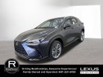 2026 Lexus NX LUXURY AWD