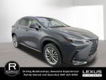 2026 Lexus NX LUXURY AWD