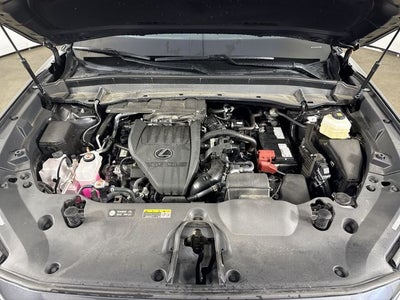 2025 Lexus TX 350 PREMIUM AWD