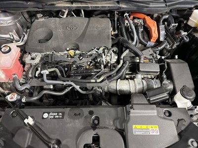 2023 Toyota Sienna Platinum 7 Passenger