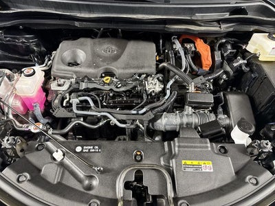 2022 Toyota Sienna Platinum 7 Passenger