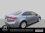 2023 Toyota Corolla Hybrid Hybrid LE