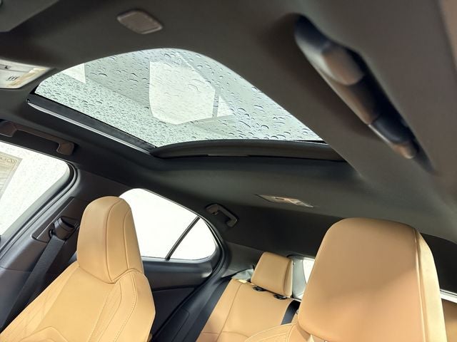 2026 Lexus UX 300h PREMIUM AWD